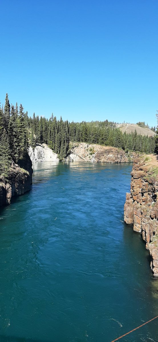 Jeebermonkey's tweet image. Whitehorse is cool!