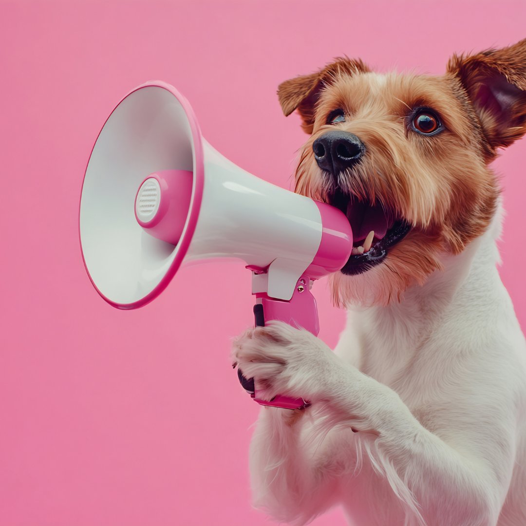 Friday means a fresh Friday Digest! mailchi.mp/slcfaculty/fri…