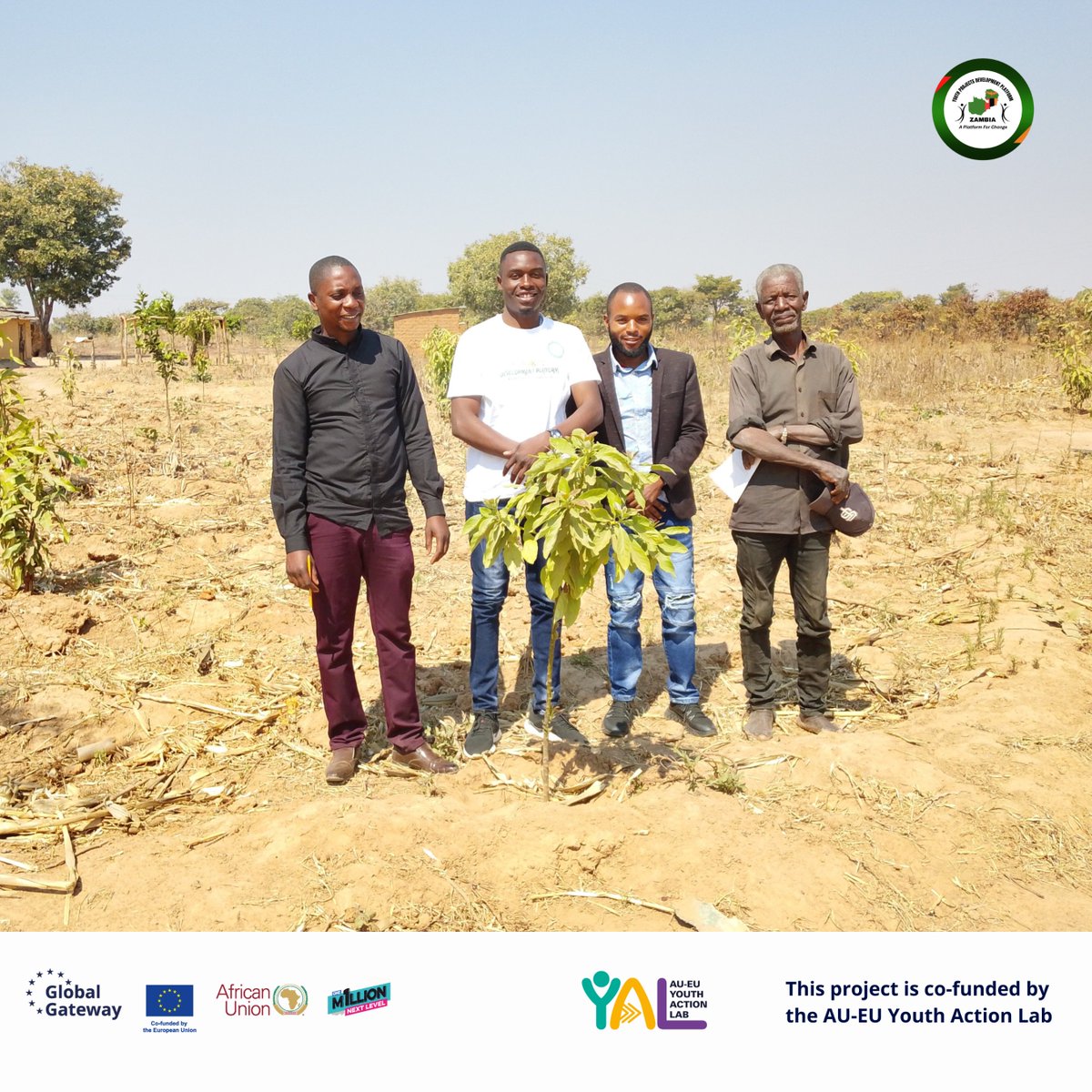 ProjectsYouth's tweet image. From Mpika to Kanika Village, the Margins to Leadership Project is unlocking possibilities for underprivileged youth with support from the AU-EU Youth Lab.

When stories meet solutions, change is inevitable, one community at a time. 

#FML #YPDPZambia #AUEUYouthLab