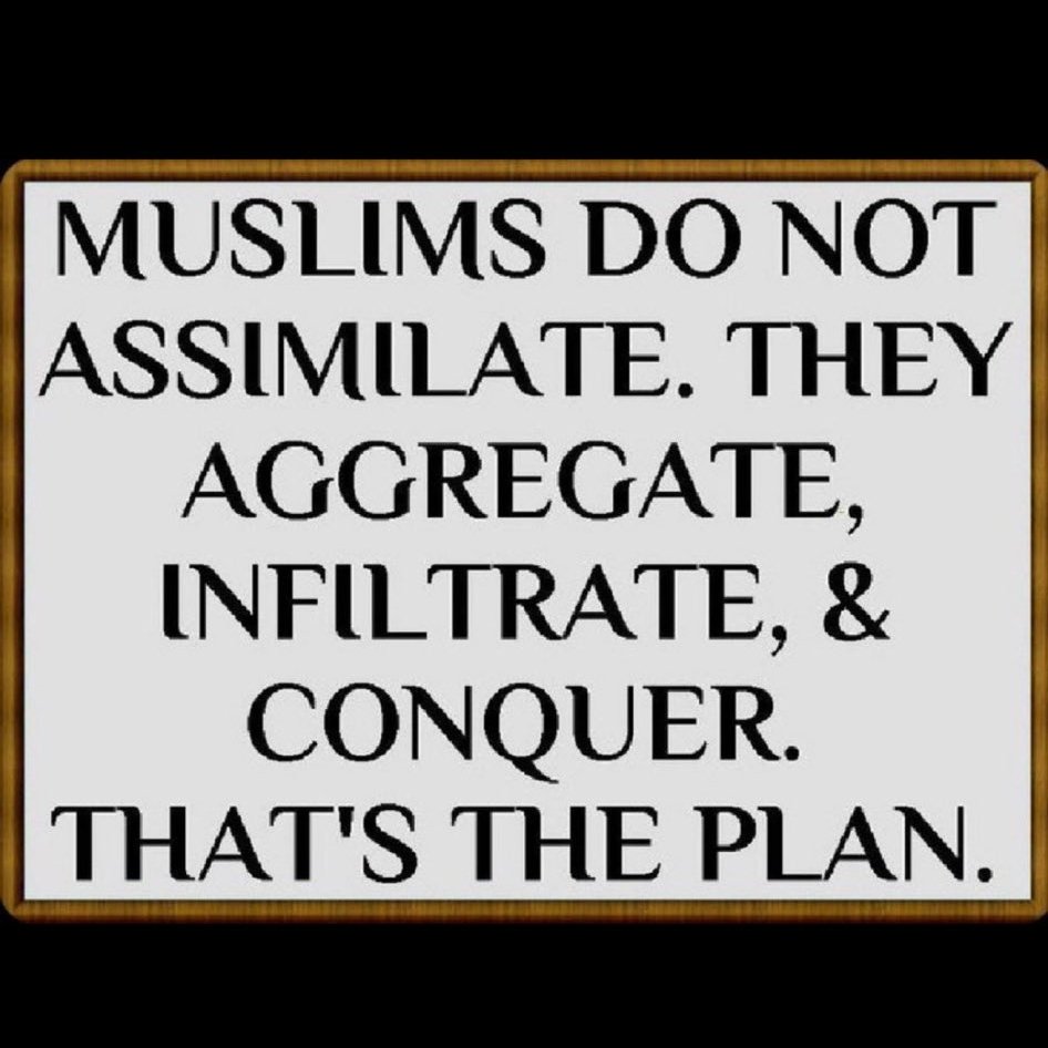 maddrewps90's tweet image. #AssimilateOrLeave