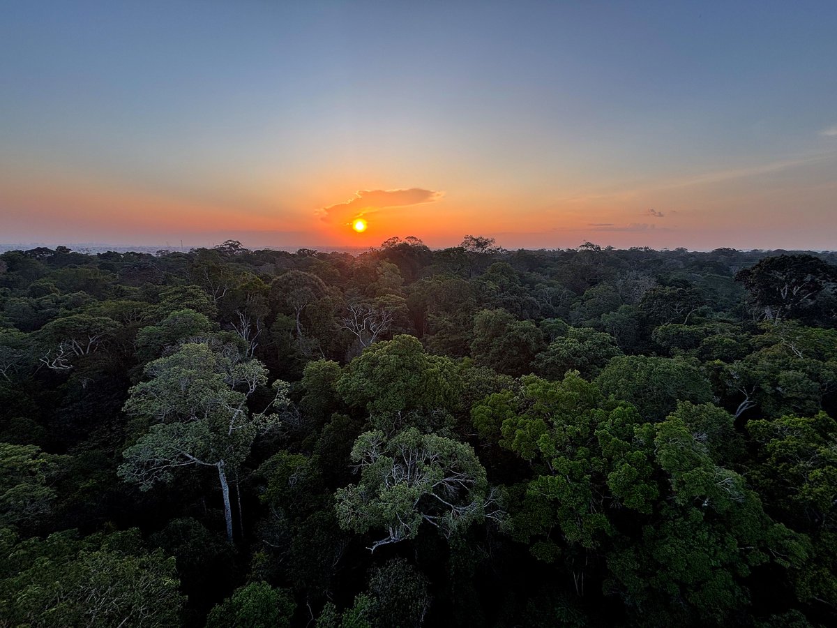 Qual é a origem da Amazônia? Parte da resposta pode estar ligada ao asteróide que matou os dinossauros

Matéria completa aqui: dis.la/6016ADcno

📸 TÂNIA RÊGO/AGÊNCIA BRASIL