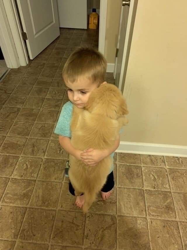 💖 (@twaniimals) on Twitter photo 