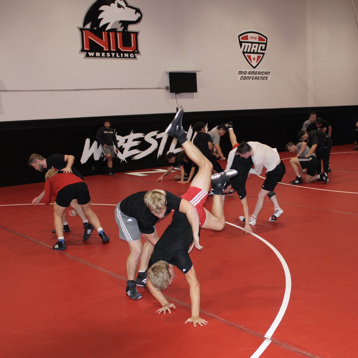 tony_ledwell's tweet image. few favorite 📸

Friday AM grind with the dudes of @NIUWrestling 

#GoHuskies | #WorkLikeADog