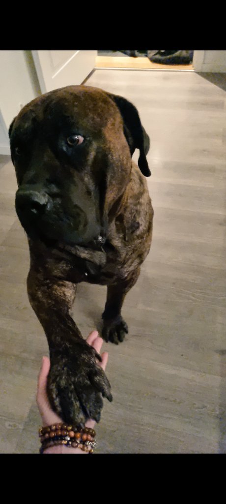 Isabelle Kristine tweet media