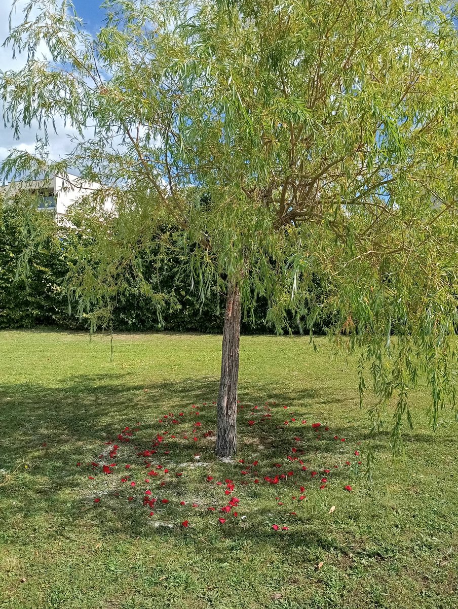 Mika17 ✨♎ tweet media