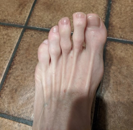 Steve Finesse tweet media