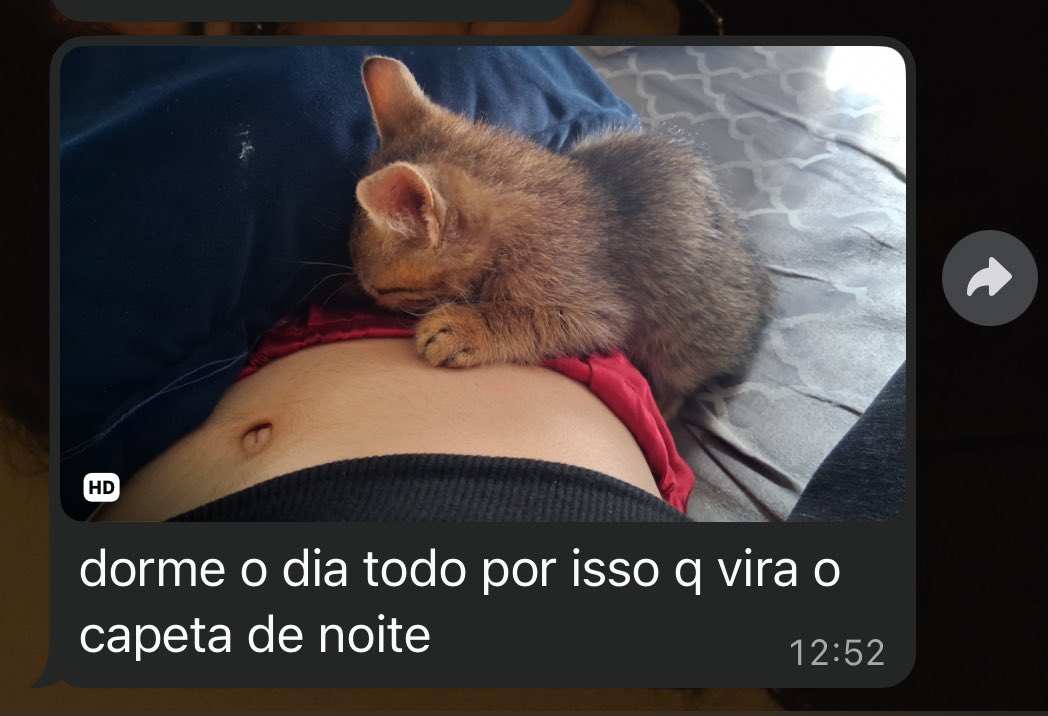 queijoeruim's tweet photo. https://t.co/kOZPzQu9Gm