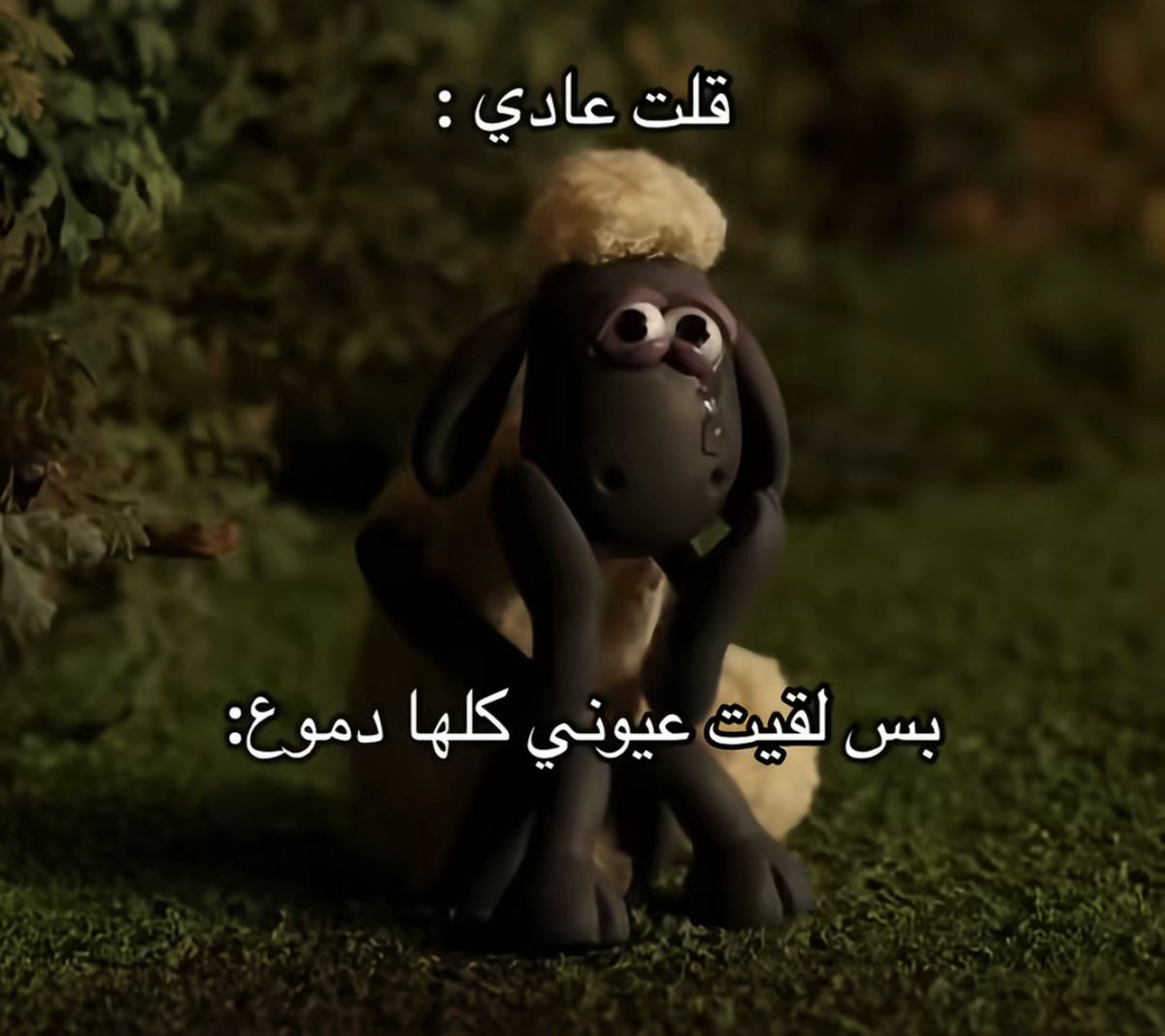 سَمح (@saa0m_) on Twitter photo 