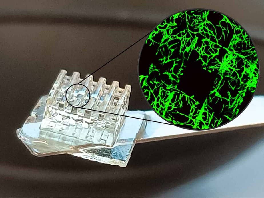 3dheals's tweet image. “Standardization is key.” 📏 BIO INX is pushing #3Dbioprinting beyond academia by making high-performance, reproducible #bioinks with partners like Rousselot—bringing consistency to biofabrication.
👉 3dheals.com/interview-with…

#TranslationalMedicine #BiotechInnovation.