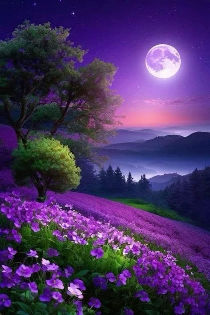 Good night and calm sleep 😴🌹💫🌺✈️🪷🌠🪻💖🌙💖