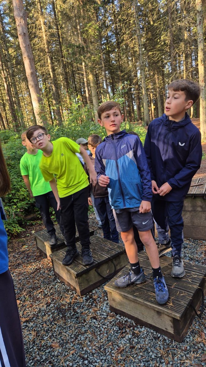 PCPPenguins's tweet image. Puzzled!