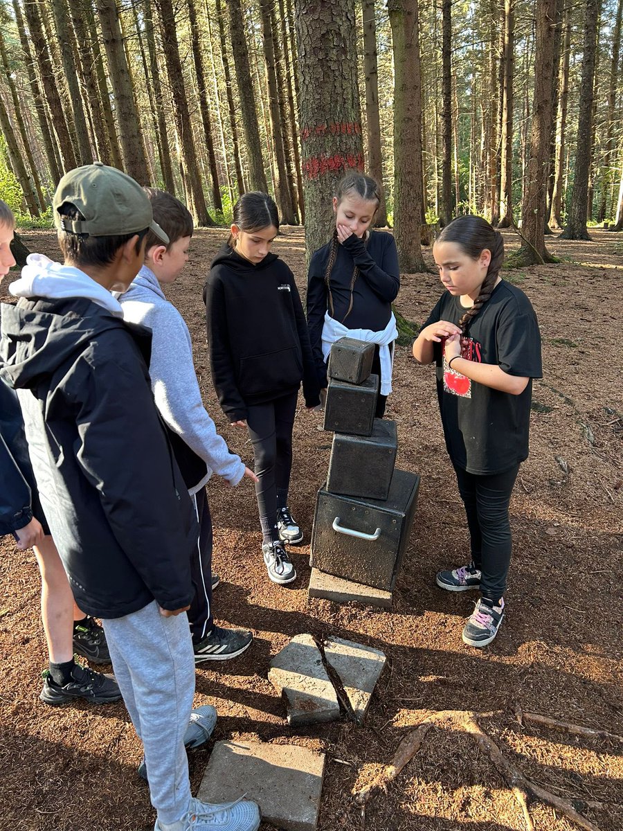 PCPPenguins's tweet image. Puzzled!