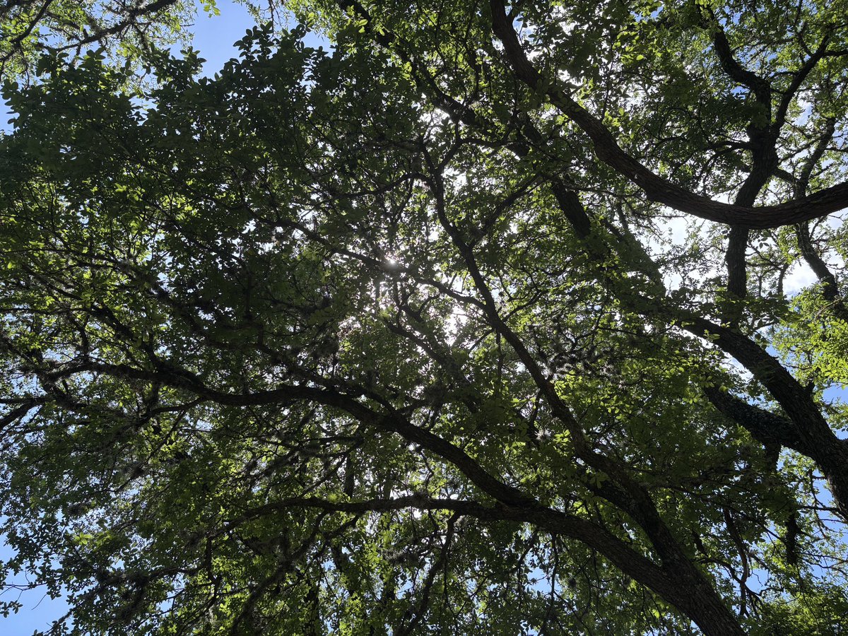 maybe this is the whole point