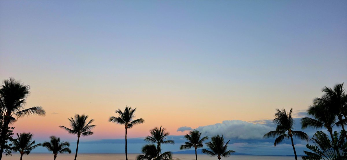 BuyTheDips tweet media