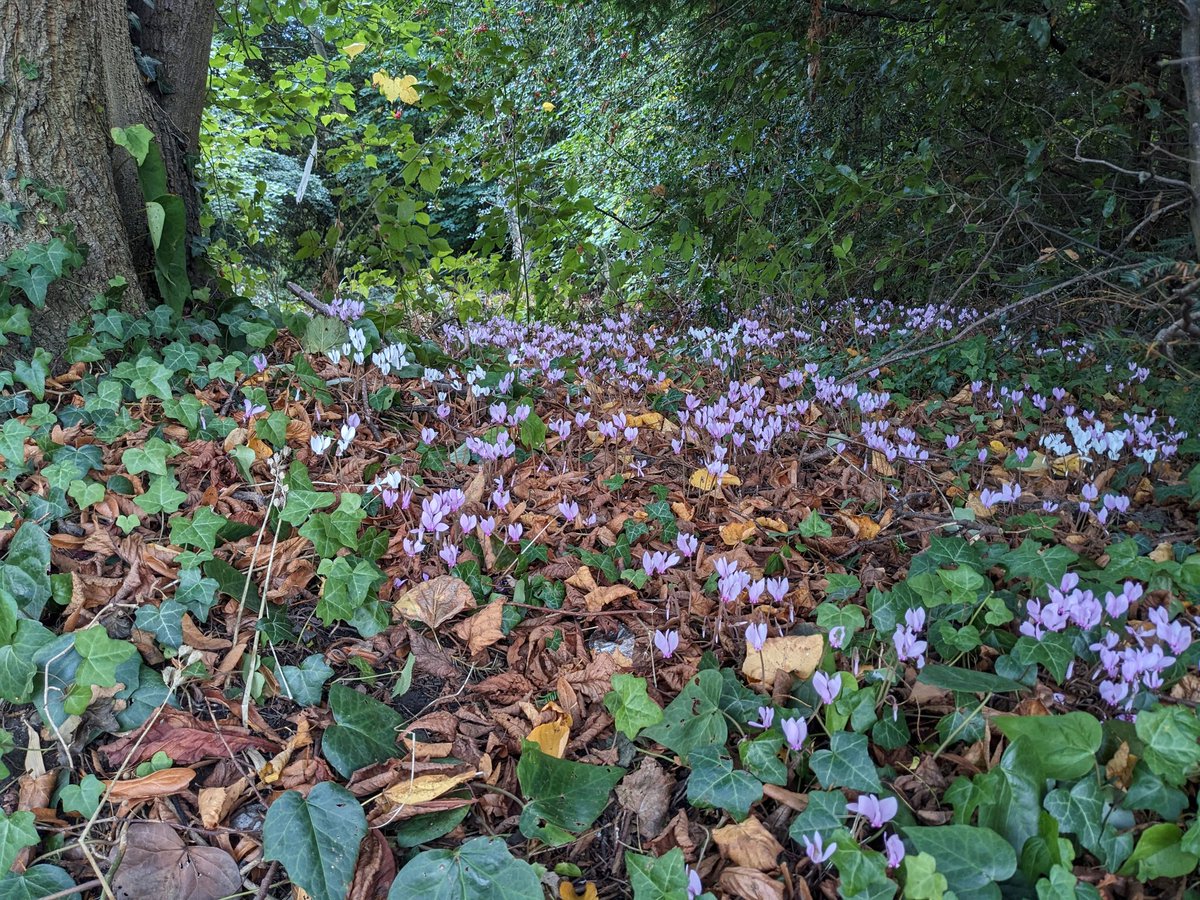 Chris Smith tweet media