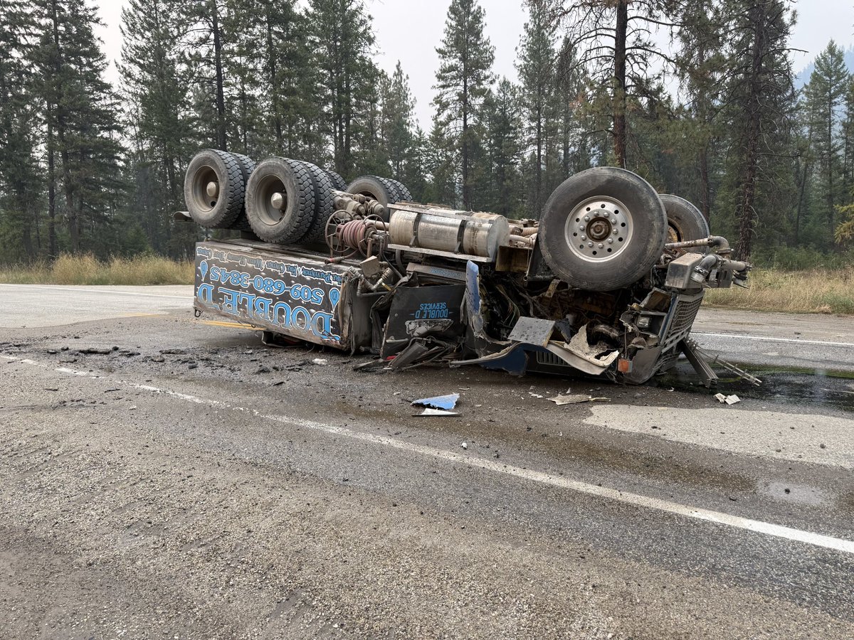 Brush Yeti Actual - LD tweet media