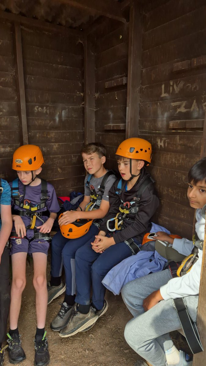 PCPPenguins's tweet image. Preparing to fly!