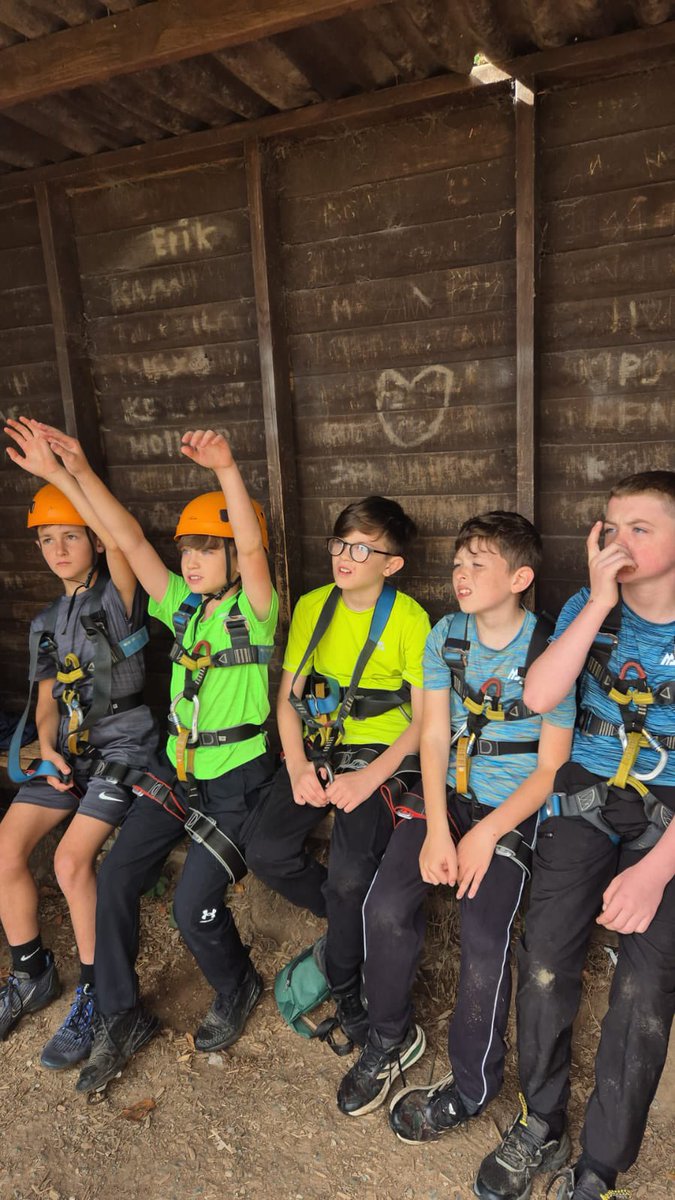 PCPPenguins's tweet image. Preparing to fly!