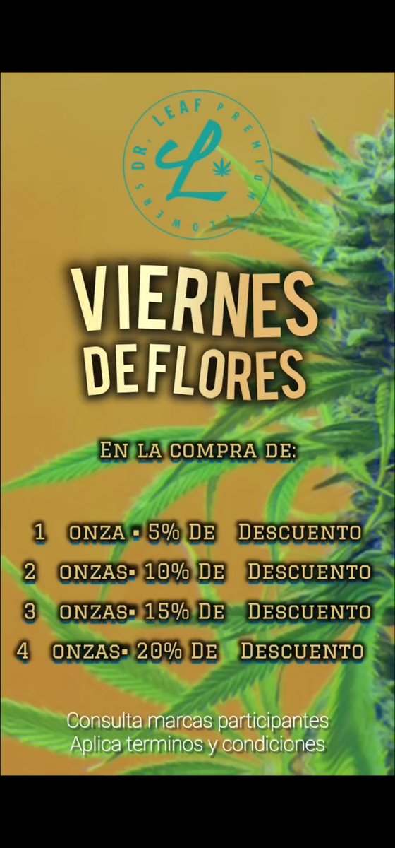 drleafmx's tweet photo. 🇲🇽🍁🚀 Manda whatsapp a este número y pide nuestro menú!! 

Gracias por tu preferencia! 💙
👉  https://t.co/DtxNp9kiwZ https://t.co/aoyodFU3gQ