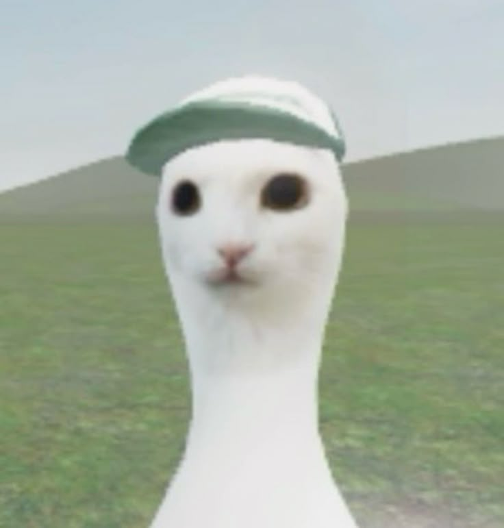 QoR ttinybones ✩ tweet media