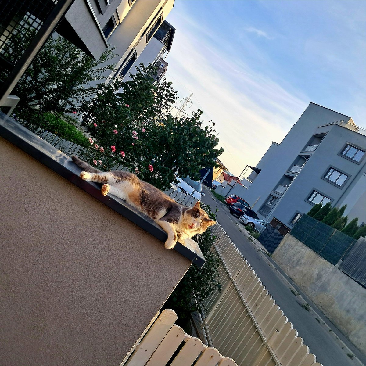 Dolce far niente 🙃 #traveltherapy