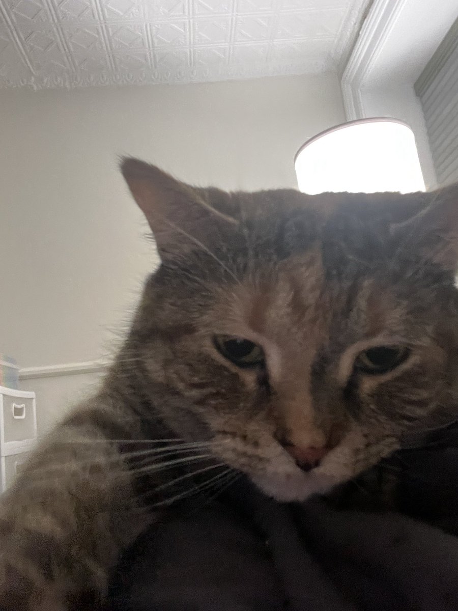 yeagh ime can take  , selfees