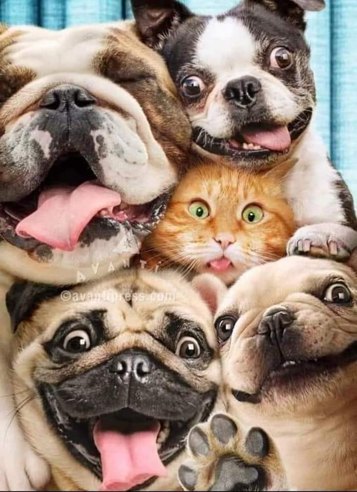 The #EastCoastReflector is more than just a #HamRadio #network. The #ECR is a #family, a family helping each other solve #problems.