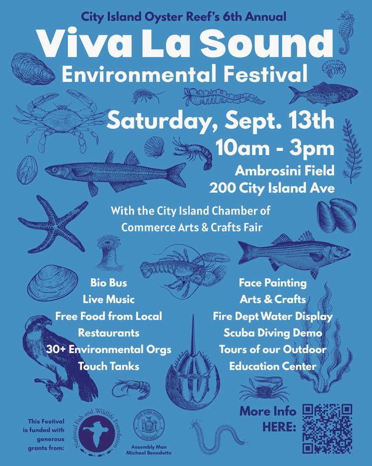 Join us at the City Island Oyster Reef's Viva La Sound Enviornmental Festival! Saturday, September 13 at Ambrosini Field on City Island from 10 am to 3 pm. More info: 
cioysterreef.org/viva-la-sound-…