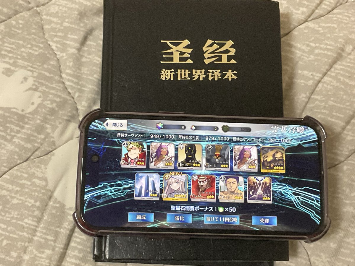 聖書敷いたらノア来た‼️‼️‼️‼️‼️‼️‼️‼️‼️‼️‼️‼️