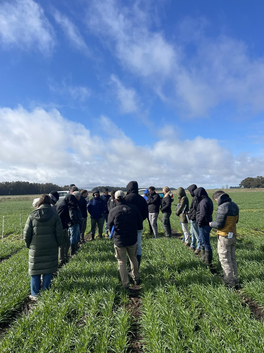 Nacho Ansaldo 🌽🌱🌾 tweet media