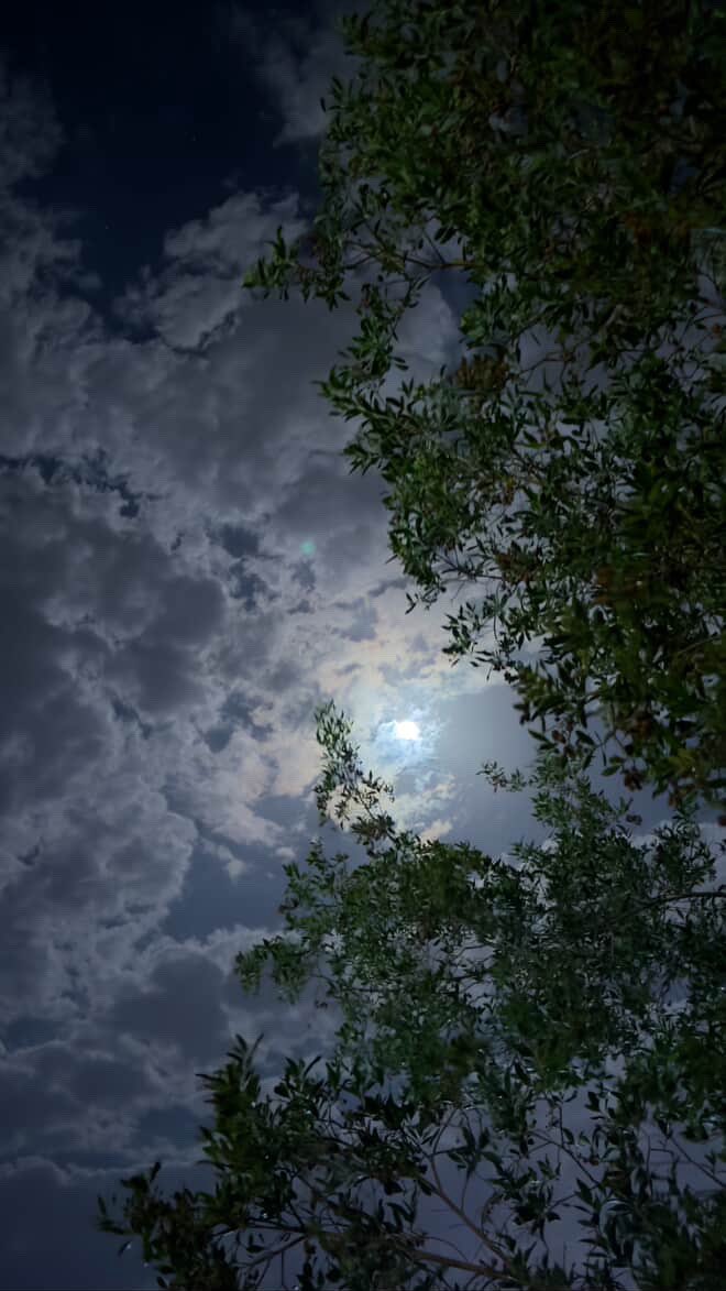 ﮼لوست tweet media