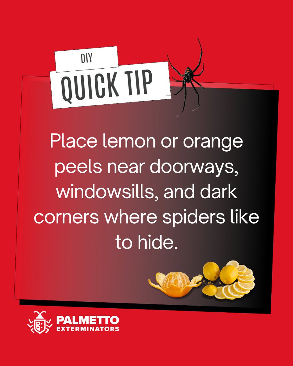 Use Citrus Peels to Deter Spiders 🍋🕷️ 

✅ Why It Works: Spiders dislike the citrus scent, making this a chemical-free way to keep them away.