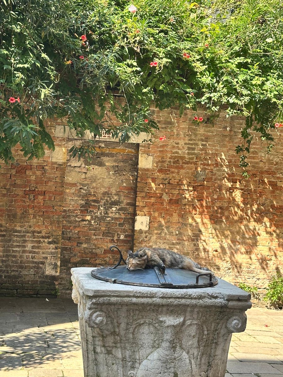 Nachtigall♡ (@risingsimorgh) on Twitter photo 