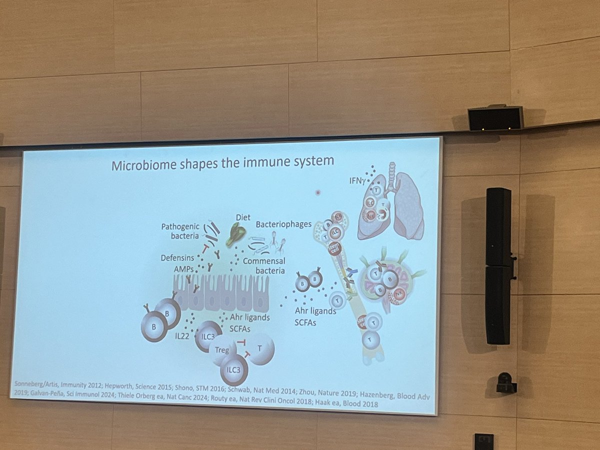 Rubens⚡️ tweet media