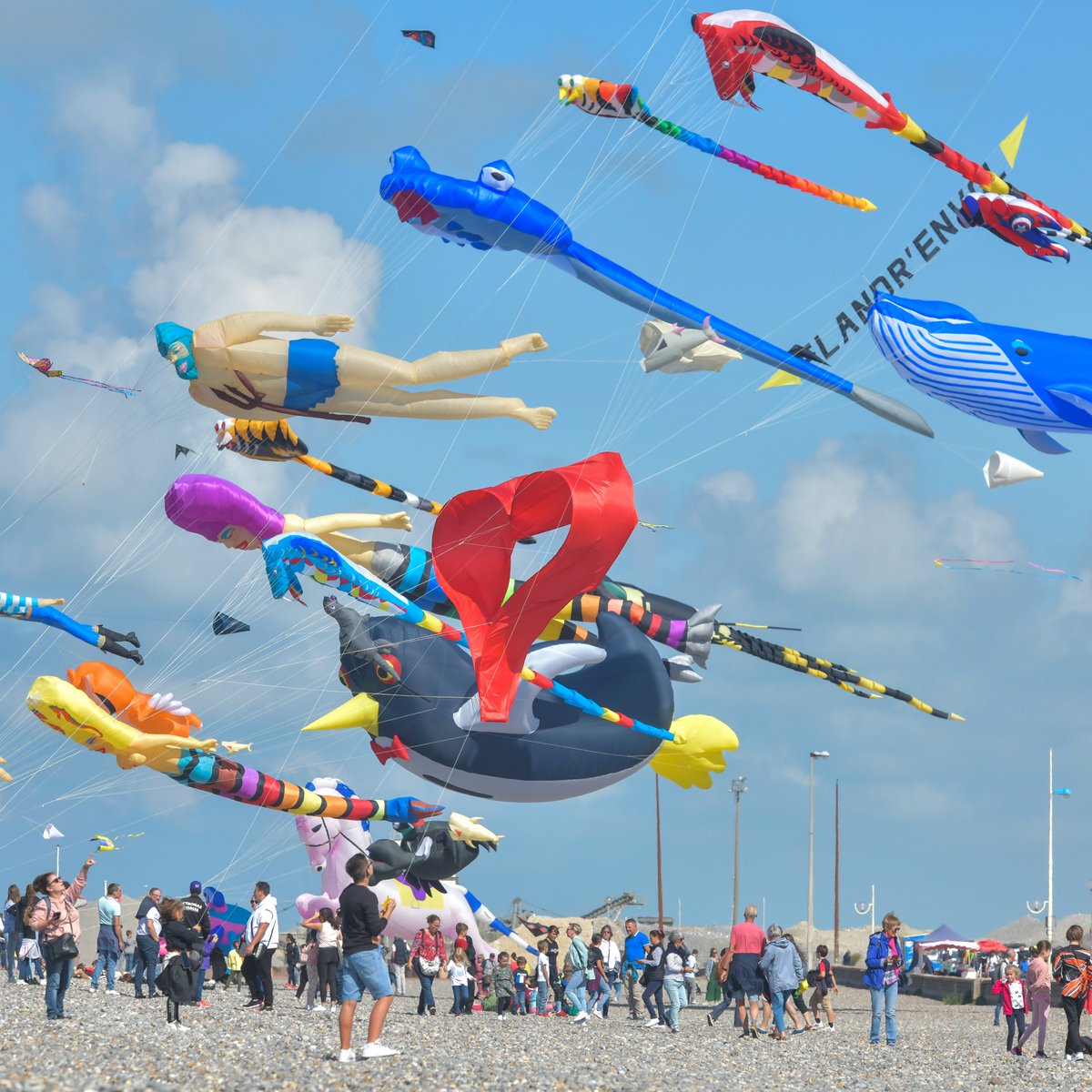 Ville de Dieppe (@dieppefr) on Twitter photo Festival international de cerfs-volants🪁 de #Dieppe : J-7 avant l'arrivée de plus de 400 cerfs-volistes du monde entier🌎 ! 🥳 On a hâte d'y être ! 😍Et vous❓
📲Le programme : tinyurl.com/ymmeh69p. Festival international de cerfs-volants🪁 de #Dieppe : J-7 avant l'arrivée de plus de 400 cerfs-volistes du monde entier🌎 ! 🥳 On a hâte d'y être ! 😍Et vous❓
📲Le programme : tinyurl.com/ymmeh69p.