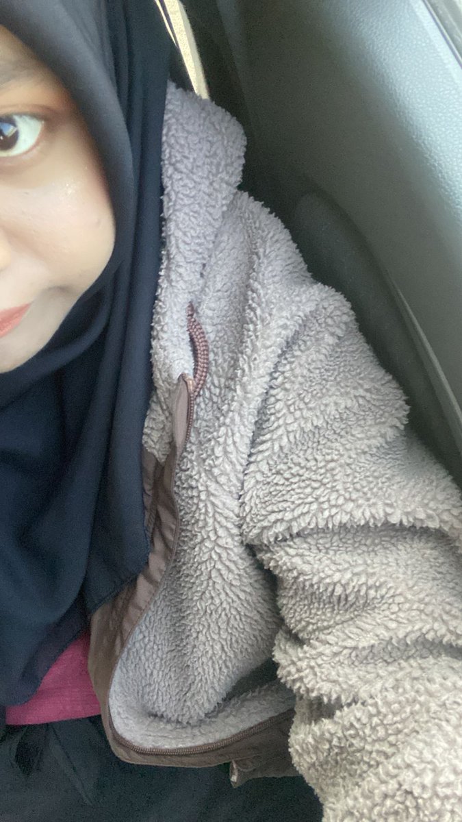 curriouscats's tweet image. 