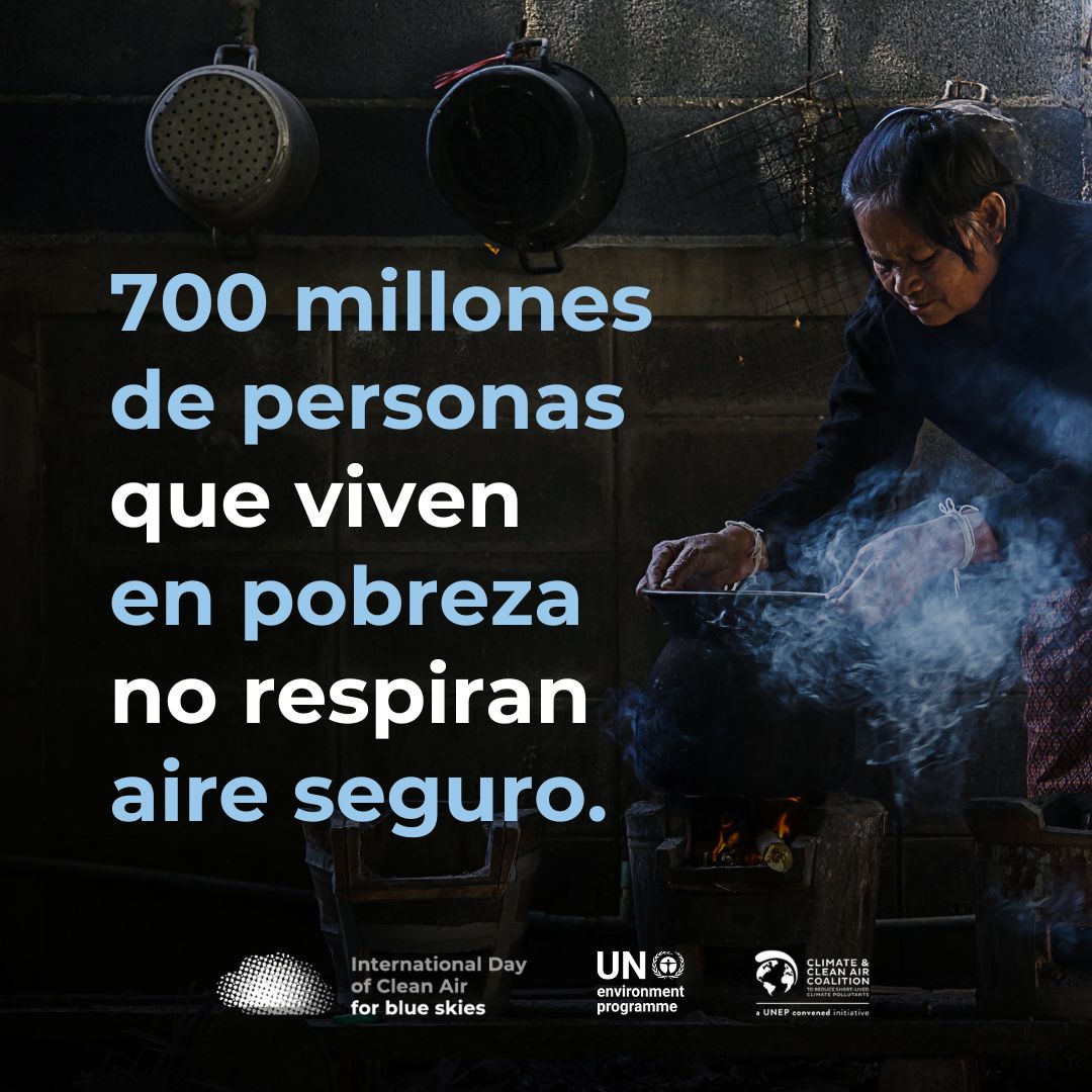 Programa ONU Medio Ambiente tweet media