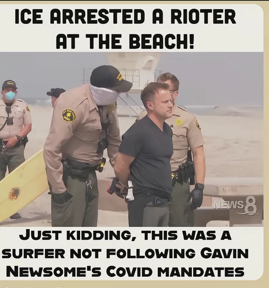 MAGA NATION tweet media