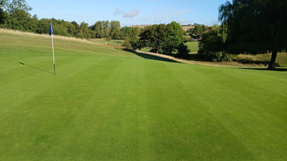 Ashley Hammond tweet media