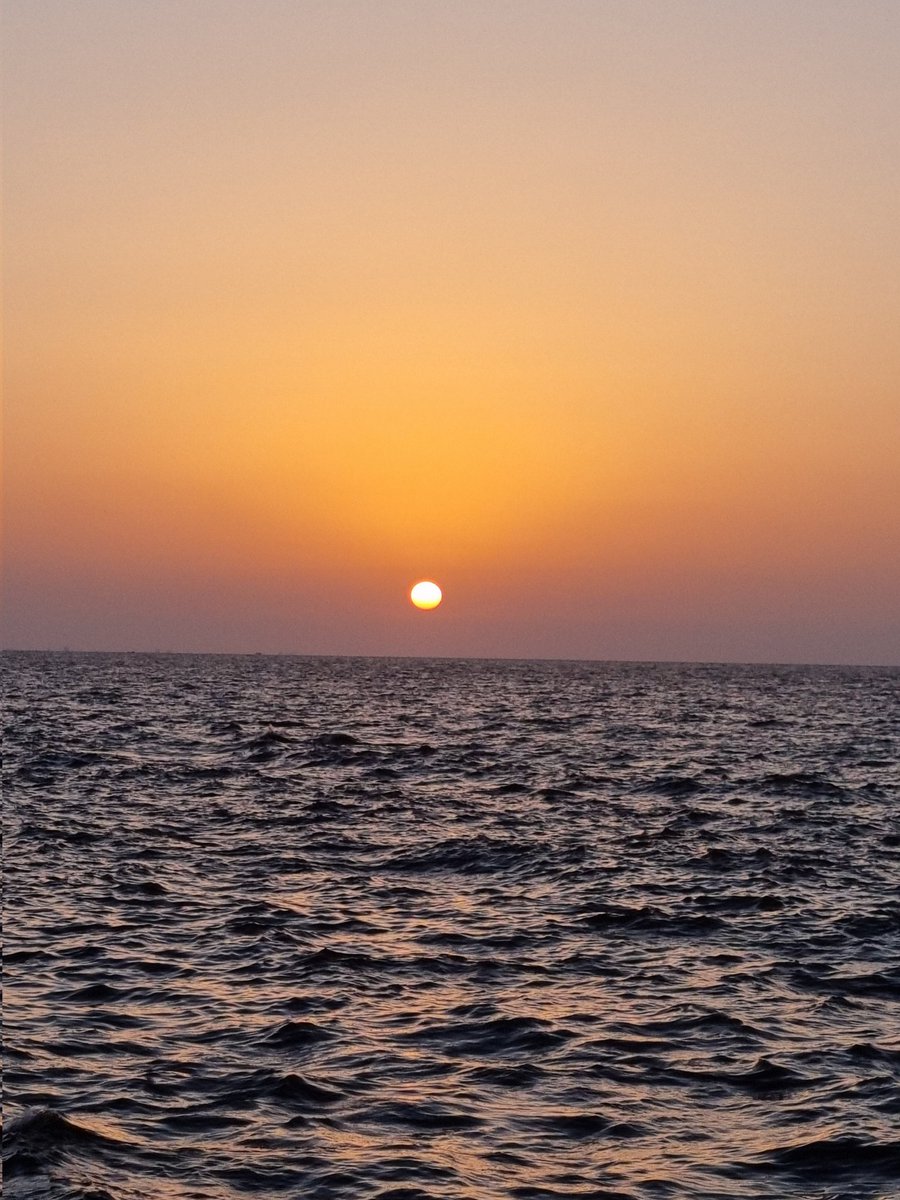 "The sun is sinking in the west
The cattle go down to the stream
The redwing settles in the nest
It's time for a cowboy to dream"
🎶  🌇