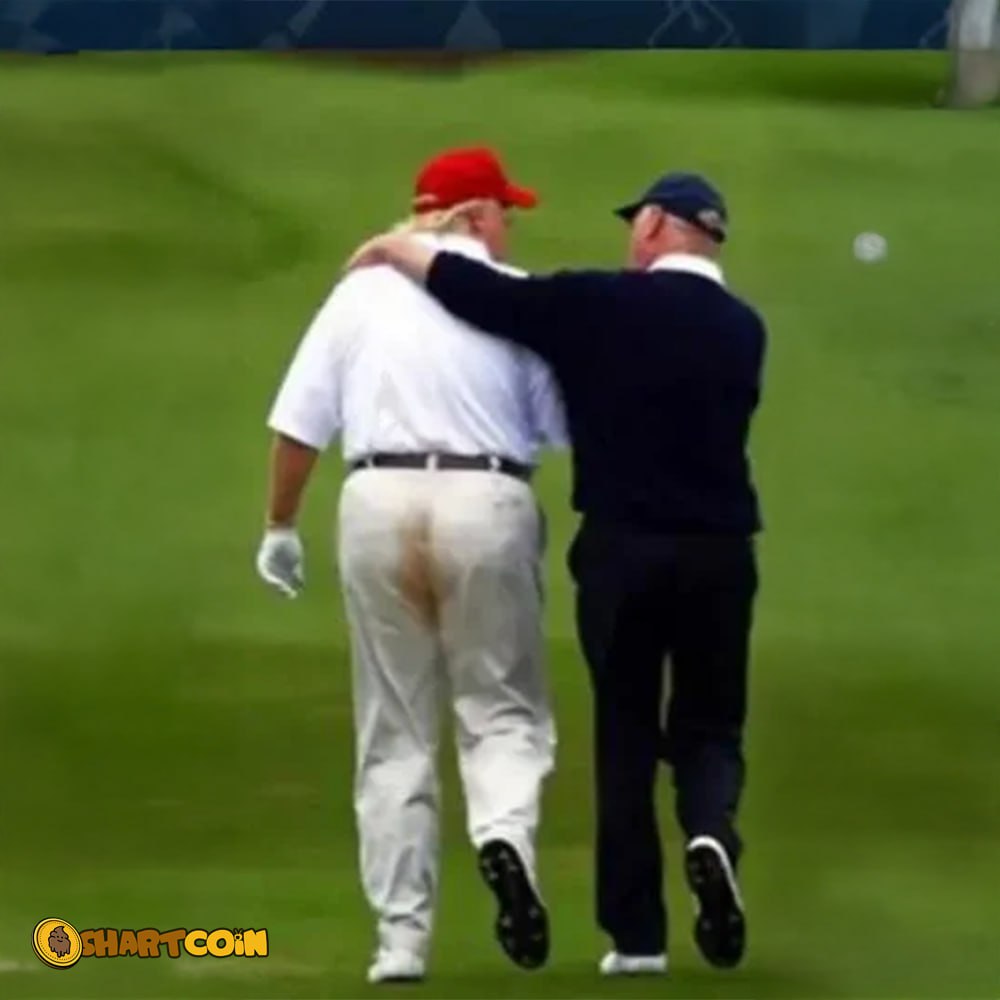 Shartcoin tweet media