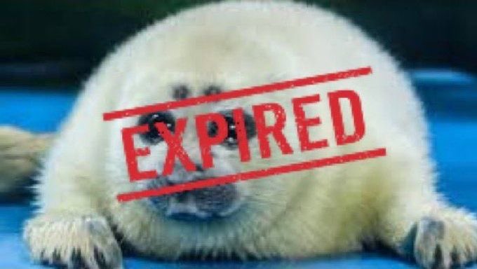 Ridouknowsnot's tweet image. Breaking news blue lock soccer star Nagi seishiro #lockedoff has the lazy genius fallen from grace? Was his sloth finally his downfall? Did hard work out so his talent? #articlelink