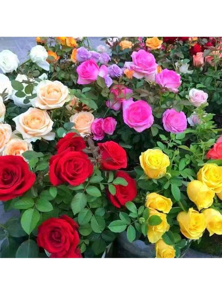 #FRIENDS4EVER 💥
<a href="/MARTHA_CAN2/">MARTHA 👑</a>
<a href="/LauraM24960/">LAURA 👑</a>
<a href="/CLARABENZA/">👠🛍️ CLARA 🛍️👠</a>
<a href="/AniBaldovinos/">🍃🌻 ANA MARIA 🌻🍃</a>
<a href="/MARTHAMUSSY/">⚘MARTHA MUSSY ⚘</a> 
<a href="/pachaca4/">Pablo</a>
<a href="/DiscoTermite/">Incarnation 🦉</a>
<a href="/DRNRRAWAT/">DR.N.R.RAWAT YOUTH KI AAVAJ</a>
<a href="/Ruth_111_/">͓🍍</a>
<a href="/arun_donde/">Arun Donde</a>
🌠
<a href="/fily79601331660/">fily</a>
<a href="/b_ngsh12/">✯𝓐𝓛𝓘 𝓚𝓗𝓐𝓝 𝓑𝓐𝓝𝓖𝓐𝓢𝓗✯🇵🇰 ⚔️🦌</a>
<a href="/Sc2017W/">SC2017</a>
<a href="/WALLI27/">Jhon f perez🎶🎸🚵☯</a>
<a href="/W0r1d_P3ac3/">Uncle Nonstop</a>
<a href="/GRAHAM15583/">🅶🆁🅰🅷🅰🅼</a>
<a href="/Mnica137/">Monica 🌺</a>
<a href="/monicampon/">Monica 🌼</a>
<a href="/Ray191064Ray/">Naomi Ray🪡⛓️</a>
<a href="/mgor2021/">🆁🅾🅱🅴🆁🆁🅾🆄🅰</a>
<a href="/otrogoga60/">ᴏꜱᴄᴀʀ ɢᴏᴍᴇᴢ ɢᴀʀᴄɪᴀ</a>
⚡✨