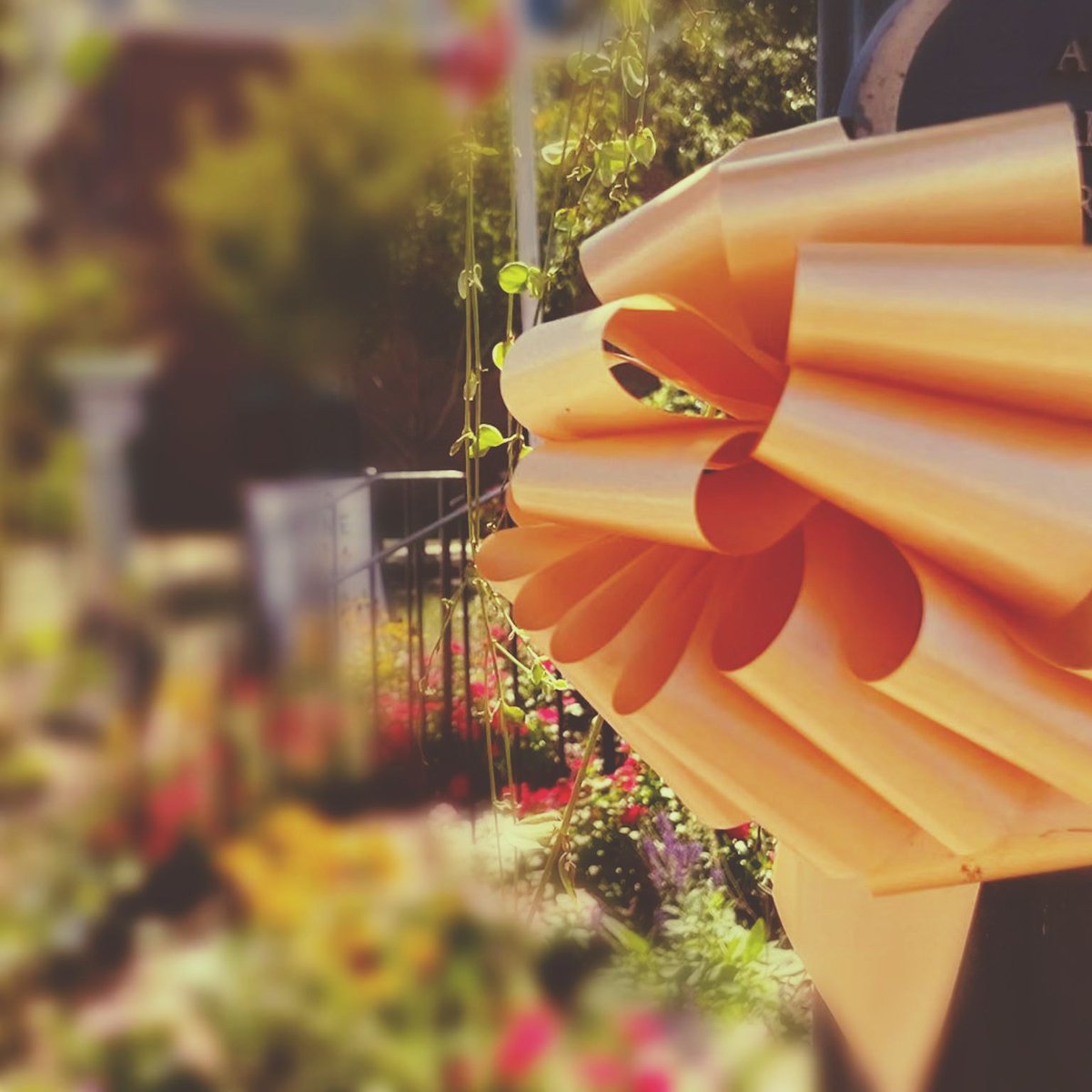 September is Childhood Cancer Awareness Month! 🎗️💛 Read a little bit about what we've been up to: --&gt;&gt; - mailchi.mp/alexsarmyccf/c…