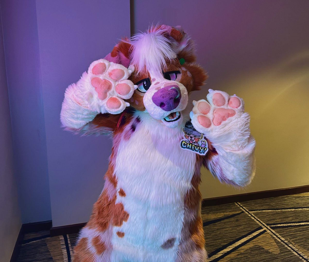 ChevyBarks's tweet photo. Bark bark woof?? 
Woof woof??? Bark!!! 🐶
🐾 Happy #fursuitfriday 🐾 https://t.co/wpnfhI0OzH