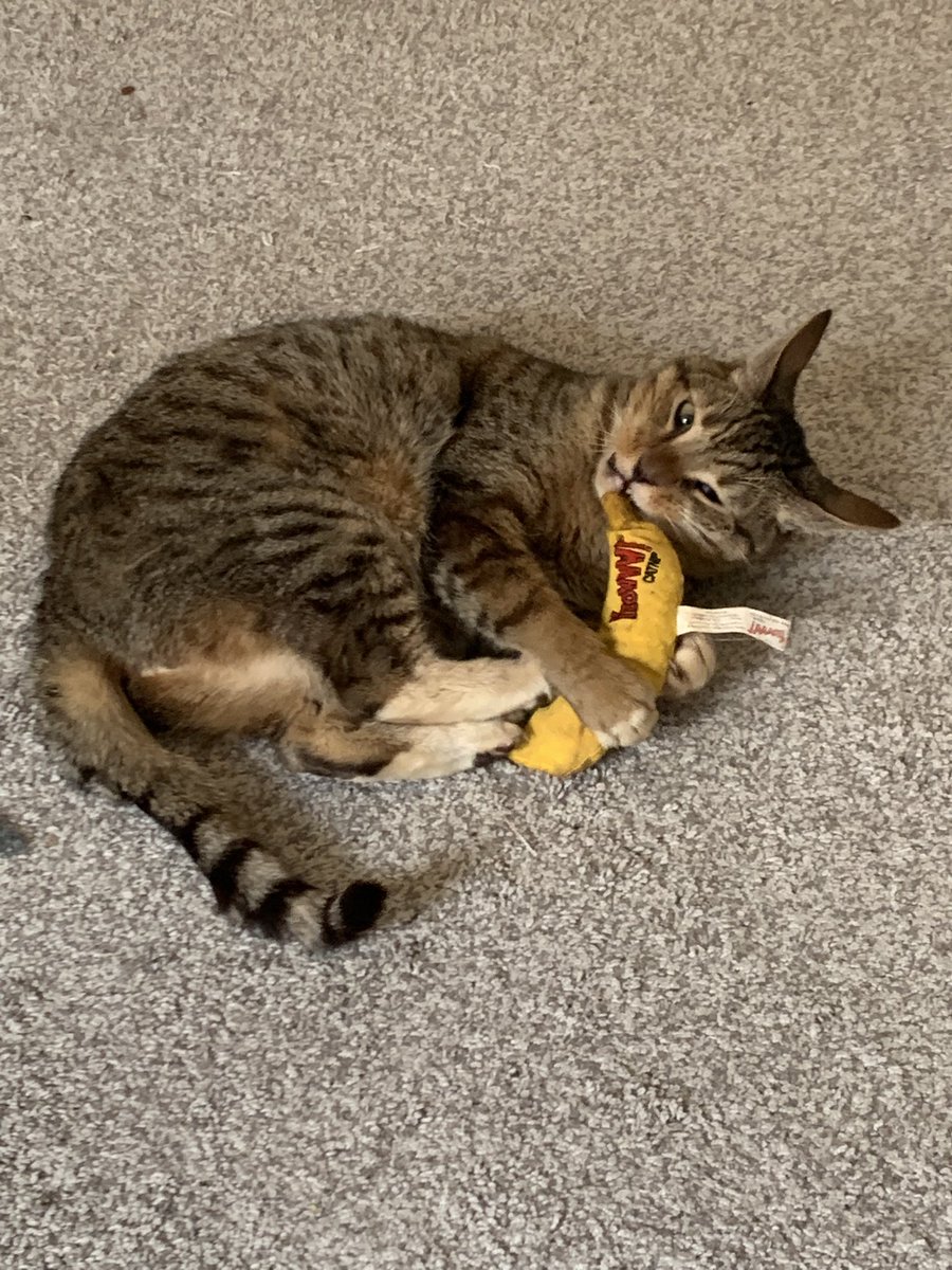 Tori 🦇🔪☠️ tweet media