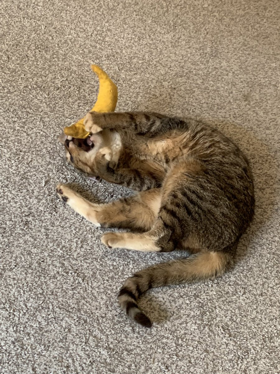 Tori 🦇🔪☠️ tweet media