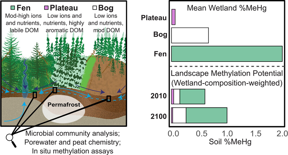 Production of Methylmercury in Peatlands Following Permafrost Thaw Increases along a Trophic Gradient | Environmental Science &amp; Technology pubs.acs.org/doi/10.1021/ac…