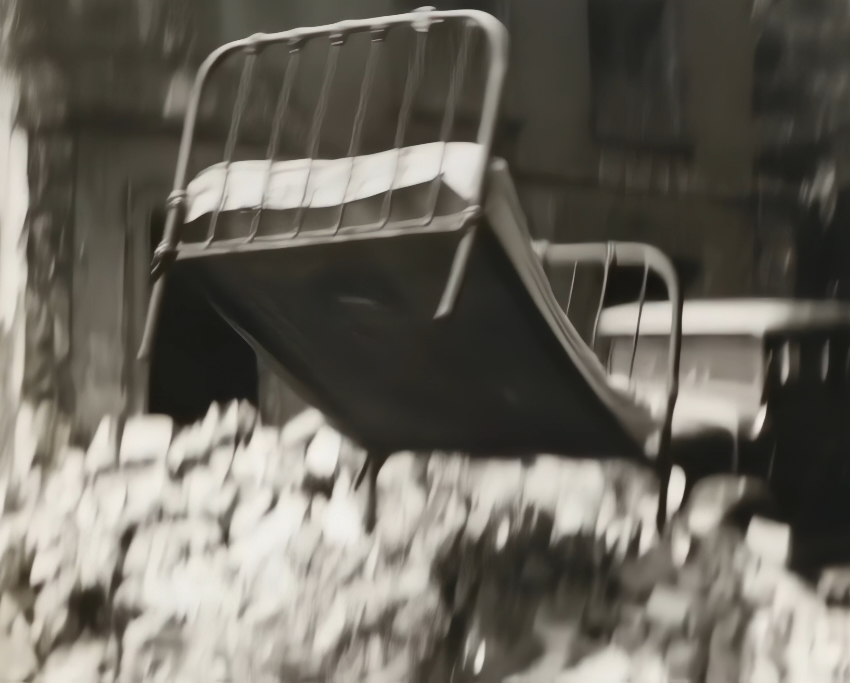 Luciana Haill tweet media