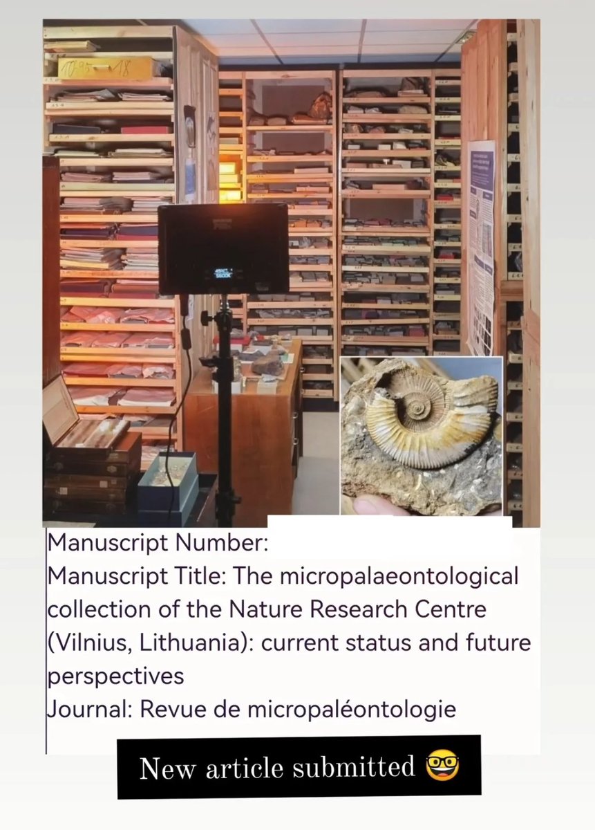 DarjaDankina's tweet image. ✅ A paper has been submitted to the special issue on micropalaeontological collections 🤓☀️
#FossilFriday #paper #fossil #paleontology #collection #museum #vilnius